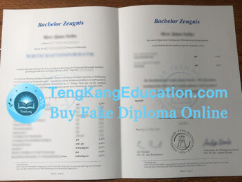 汉堡远程教育大学成绩单Hamburger Fern-Hochschule Zeugnis