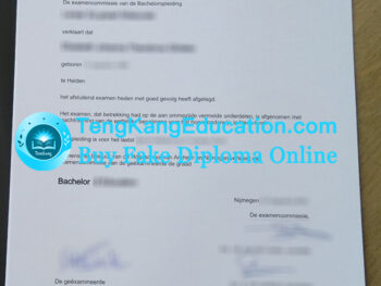汉恩应用科学大学文凭HAN University of Applied Sciences diploma