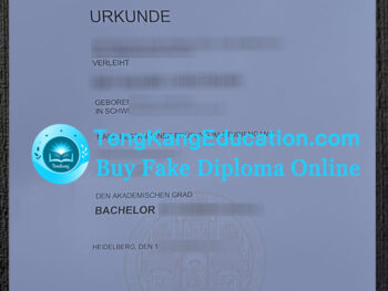 海德堡大学毕业证Universität Heidelberg Urkunde