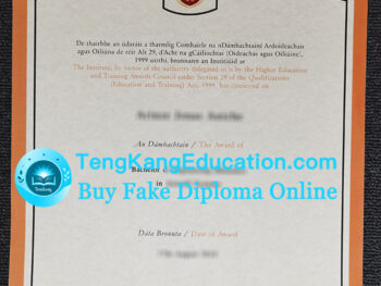 爱尔兰卡洛理工学院毕业证Institute of Technology Carlow diploma