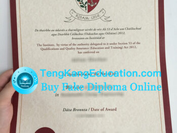 科克理工学院毕业证Cork Institute of Technology diploma