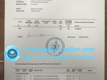 萨里大学成绩单University of Surrey transcript