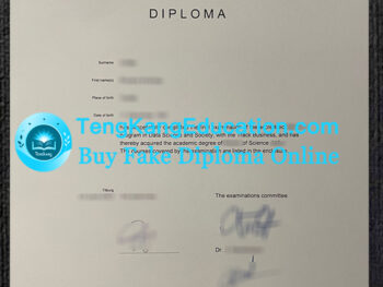 蒂尔堡大学文凭Tilburg University diploma