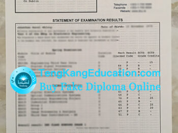 都柏林城市大学成绩单Dublin City University transcript