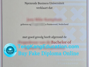 奈耶诺德商业大学毕业证Nyenrode Business Universiteit diploma