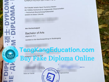 奥斯特法利亚应用科技大学文凭Ostfalia Hochschule für angewandte Wissenschaften Urkunde