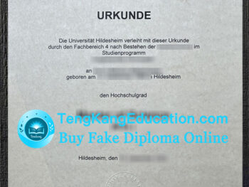 希尔德斯海姆大学文凭Universität Hildesheim Urkunde