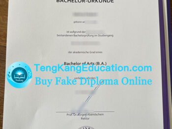 斯坦贝斯大学毕业证Steinbeis Hochschule Urkunde