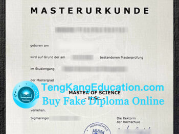阿尔布施塔特-锡格马林根应用技术大学文凭Hochschule Albstadt-Sigmaringen Urkunde